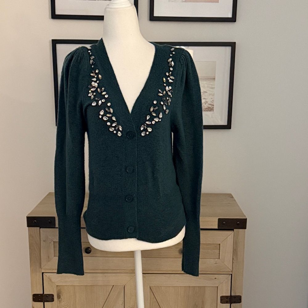 Express Embellished Deep Green V-Neck Sweater